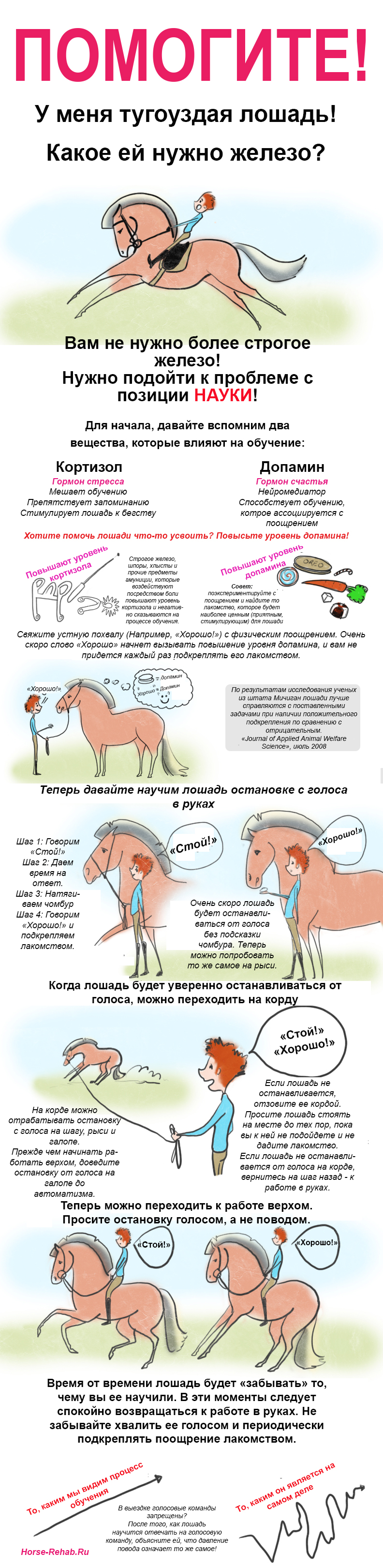 Horse-Rehab.Ru