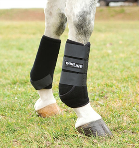Horse-Rehab.Ru