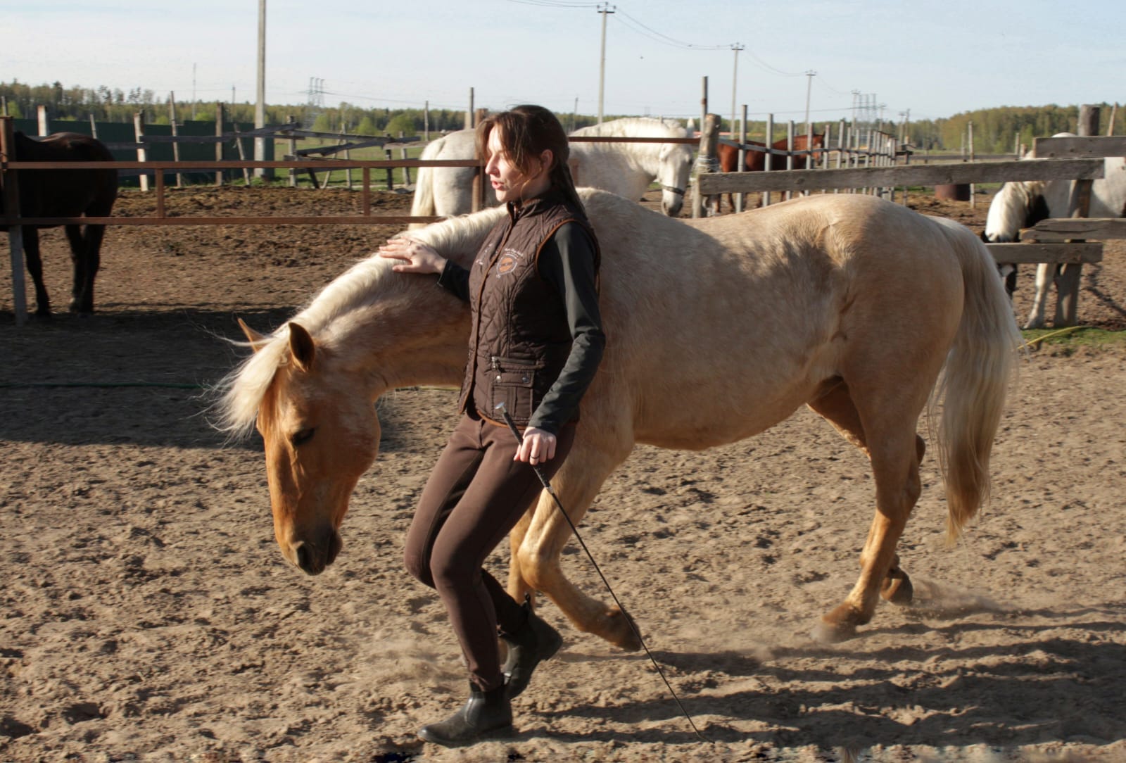 Horse-Rehab.Ru