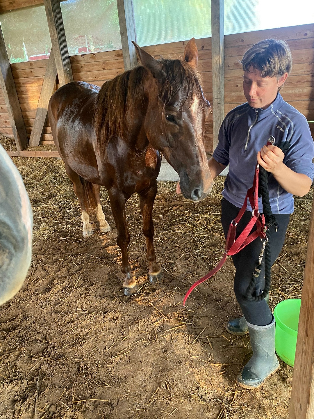 Horse-Rehab.Ru