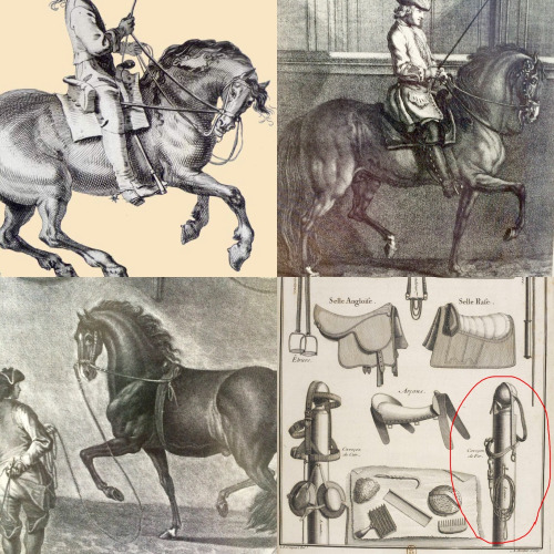 Horse-Rehab.Ru