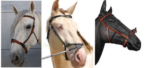 Horse-Rehab.Ru