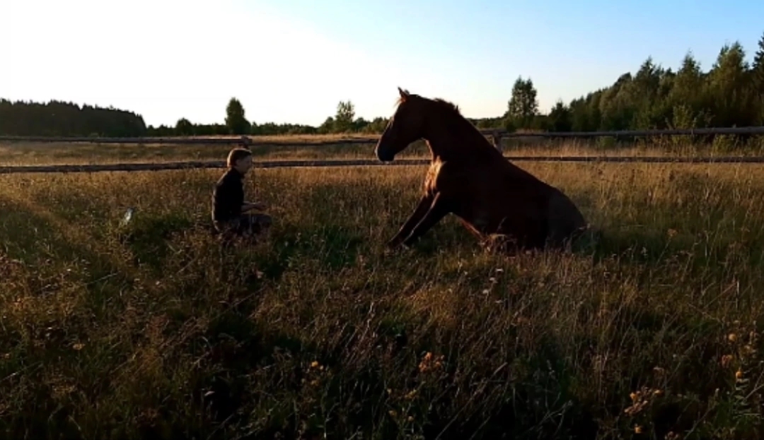 Horse-Rehab.Ru