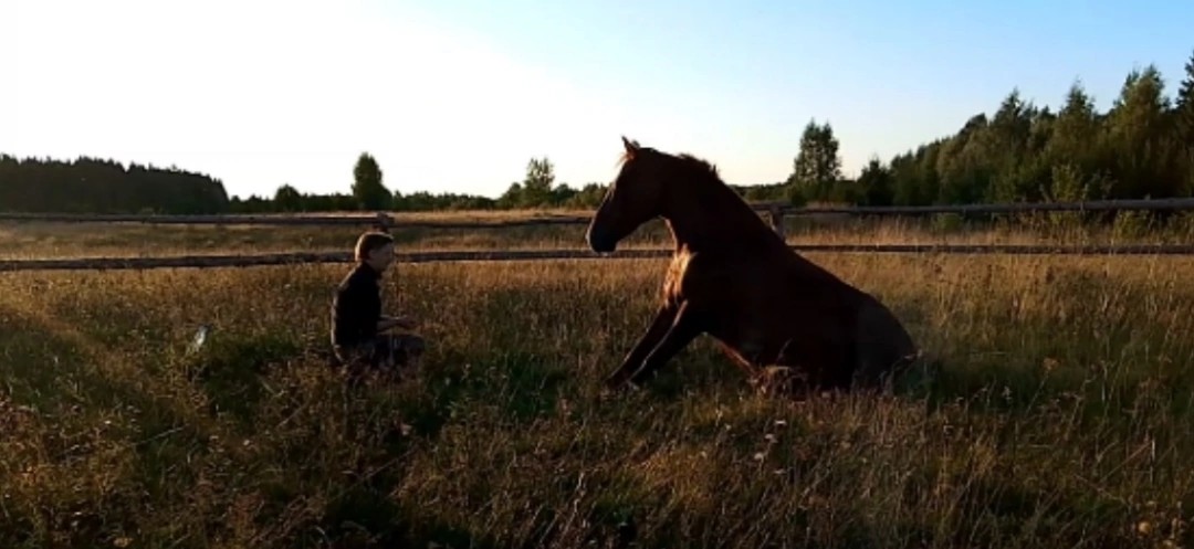 Horse-Rehab.Ru